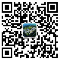 成都東辰外國語學校微信公眾號